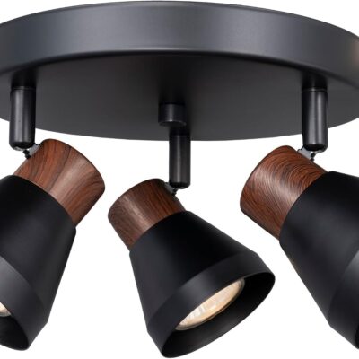 Track lighting, black with faux wood accent, adjustable, multi-directional.
